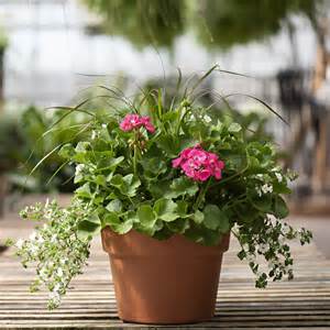 12 inch Outdoor Patio Pot - Locally Sourced! Flower Bouquet