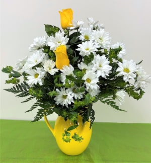 Daisy Pitcher