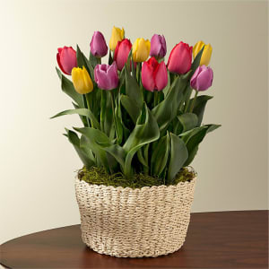 Spring Fling Tulip Bulb Garden Flower Bouquet