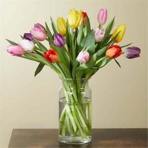 Picnic Tulips Flower Bouquet