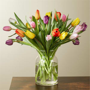 Picnic Tulips Flower Bouquet