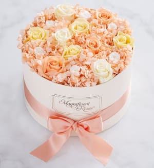 Magnificent Roses® Pastel Delight Flower Bouquet