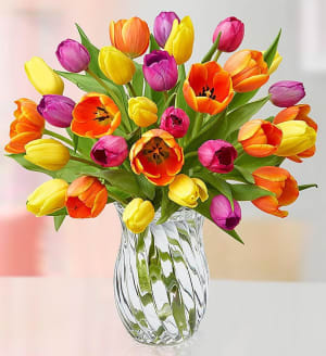 Mother's Day Radiant Tulips, 15-30 Stems Flower Arrangement Mother's Day Radiant Tulips, 15-30 Stems Flower Bouquet