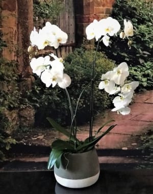 Large Double White in Ash Pot  34"x 21" Flower Bouquet