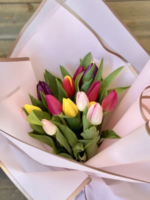 Beautiful and Elegant Tulips