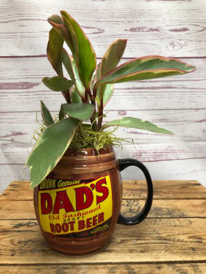 Dish Garden Doo"Dads" Flower Bouquet