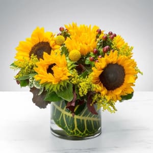 Sunny Sunflower Flower Bouquet