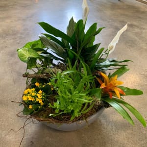 Jungle Planter Flower Bouquet