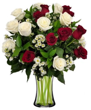 2 Dz Fire and Ice Roses Flower Bouquet