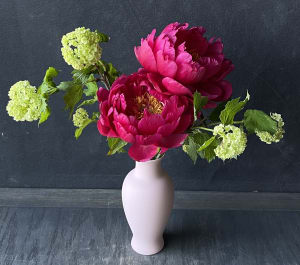 Petite Collection Pink Mini Vase