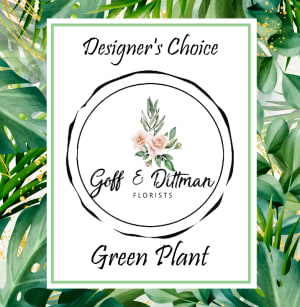 Designer's Choice - Green Plant Flower Bouquet