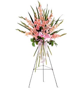 Sentimental Gladioli Spray Flower Bouquet