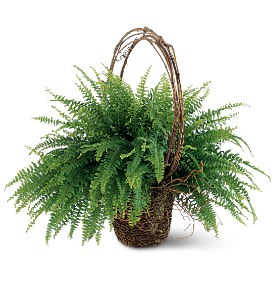 Faithful Fern Flower Bouquet