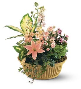 Peach Tribute Garden Flower Arrangement Peach Tribute Garden Flower Bouquet
