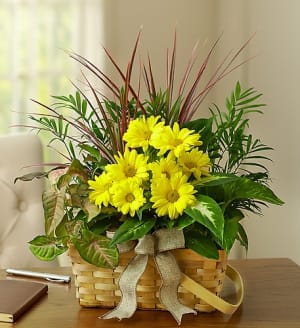 Dish Garden with Fresh Cut Flowers Flower Bouquet