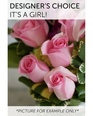 Designers Choice - Its a Girl! Flower Bouquet