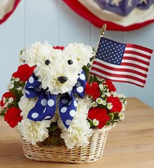 Yankee Doodle Doggie Flower Bouquet