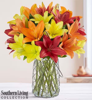 Country Splendor™ Lilies by Southern Living® Flower Bouquet