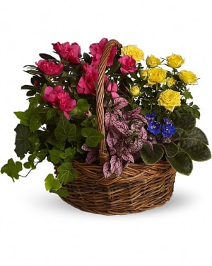 Blooming Garden Basket Flower Bouquet