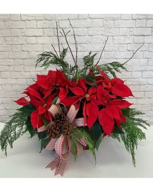 Double Poinsettia Basket - 6 inch Flower Bouquet