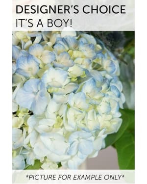 Designers Choice - Its a Boy! Flower Bouquet