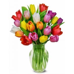 20 Tulips Flower Bouquet