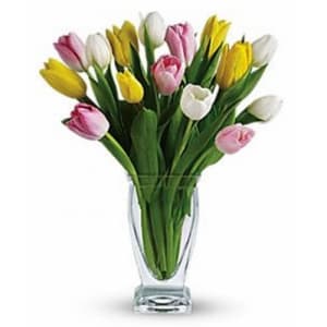 15 Mixed Tulips Flower Bouquet