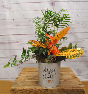 Grateful Pumpkin Planter Flower Bouquet