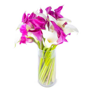 Graceful Calla Lily Bouquet