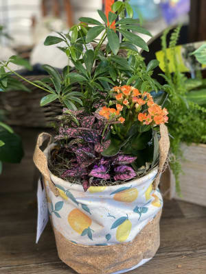 Citrus Garden Planter Flower Bouquet