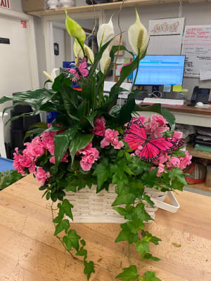 Blooming Dish Garden