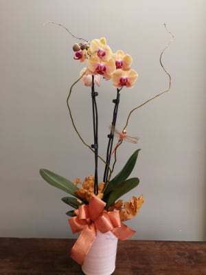 Fall Orchid Flower Bouquet