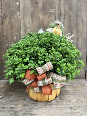 Cheerful Mums for Fall Flower Bouquet