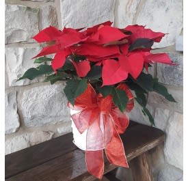 Christmas Poinsettia in a Basket Flower Bouquet