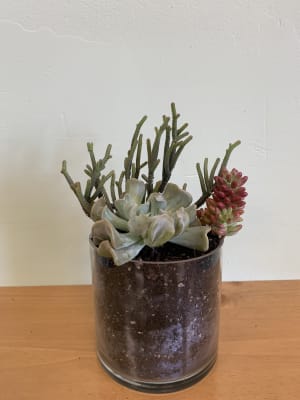 Succulent Planter Flower Bouquet