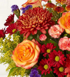 Autumn Delight™ by Southern Living®