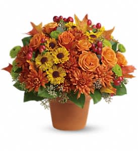 Sugar Maples Flower Bouquet