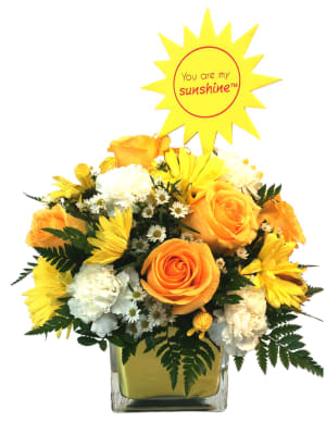 You Are My Sunshine Cube U-3007 Flower Bouquet