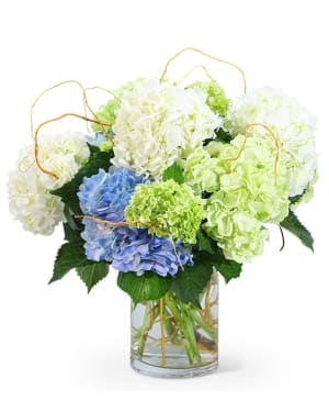 Hello, Hydrangea! Flower Bouquet