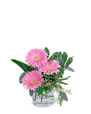 Gerbera Simplicity Flower Bouquet