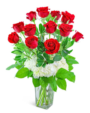 One Dozen Red Roses with Hydrangea Flower Bouquet