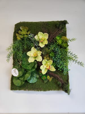 Moss & Green Orchids  Flower Bouquet