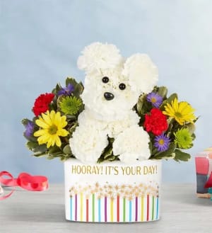 Hooray Pup  Flower Bouquet