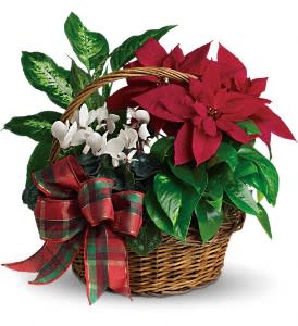 Holiday Homecoming Flower Bouquet