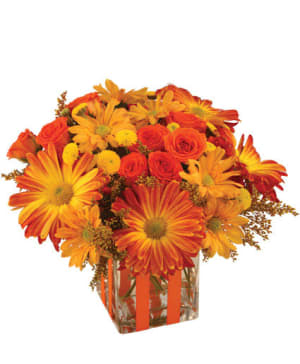 BONFIRE NIGHTS Bouquet Flower Bouquet