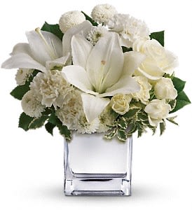 Peace & Joy Bouquet by Teleflora Flower Bouquet