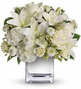 Peace & Joy Bouquet by Teleflora Flower Bouquet