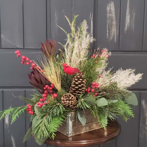 Evergreen Splendor with Cardinal Friend Flower Bouquet