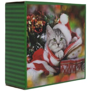 Kitten In Stocking Mini Puzzle Flower Bouquet