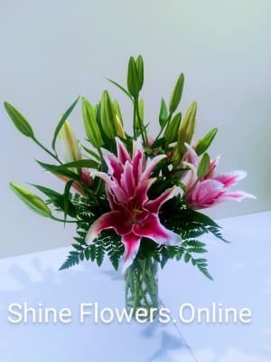 Stargazer Lilies Vased Flower Bouquet